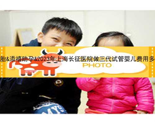 免疫力强怀孕排斥胚胎&添禧助孕&2023年上海长征医院做三代试管婴儿费用多少钱